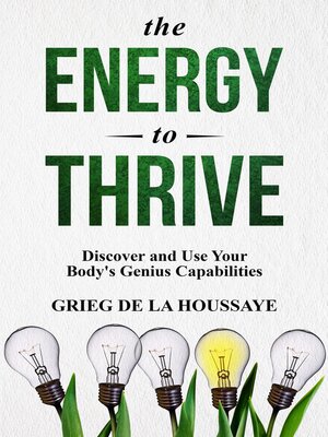 The Energy to Thrive - ebook